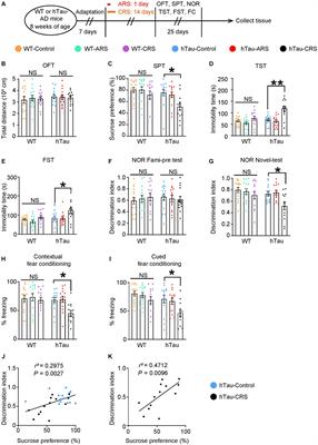 A tau fragment links depressive-like behaviors and cognitive declines in Alzheimer’s disease mouse models through attenuating mitochondrial function